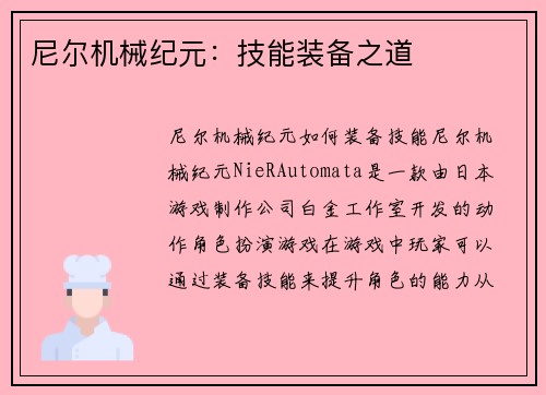 尼尔机械纪元：技能装备之道