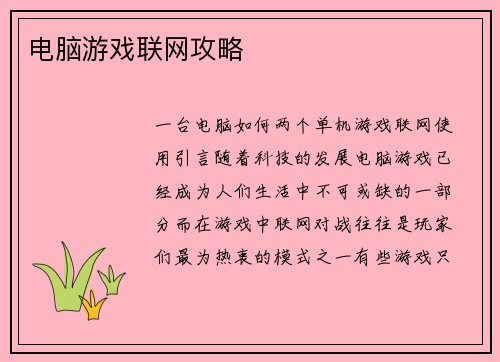 电脑游戏联网攻略